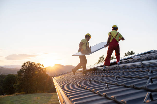 Best Metal Roofing Installation  in Escobares, TX