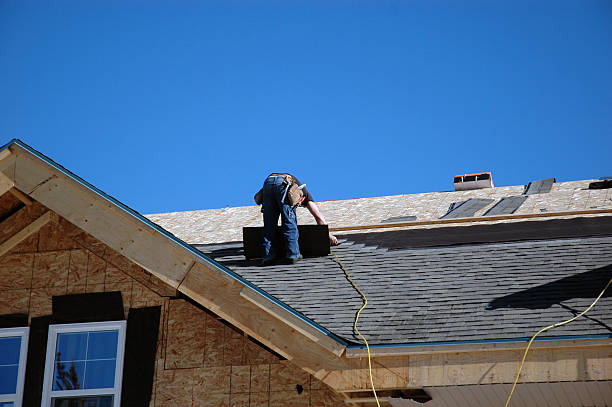 Best Roof Moss and Algae Removal  in Escobares, TX