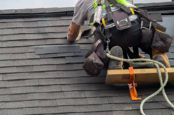 Best Emergency Roof Repair Services  in Escobares, TX