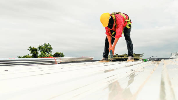 Best Rubber Roofing (EPDM, TPO)  in Escobares, TX