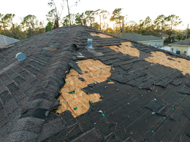  Escobares, TX Roofing Service Pros
