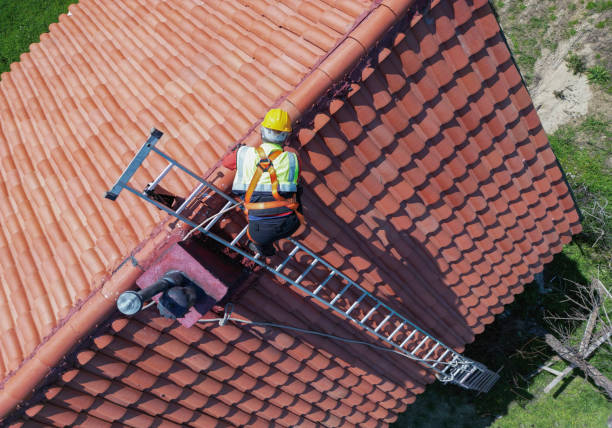 Best Roof Maintenance and Cleaning  in Escobares, TX