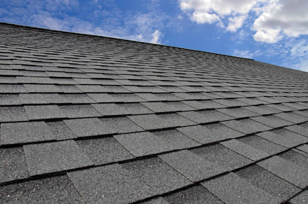 Best Asphalt Shingles Roofing  in Escobares, TX
