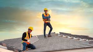Best Solar Panel Roofing Installation  in Escobares, TX